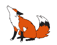 Funky Fox